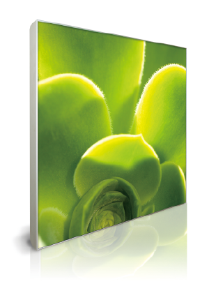 E-FL004 Frameless Premium LED Light Box 