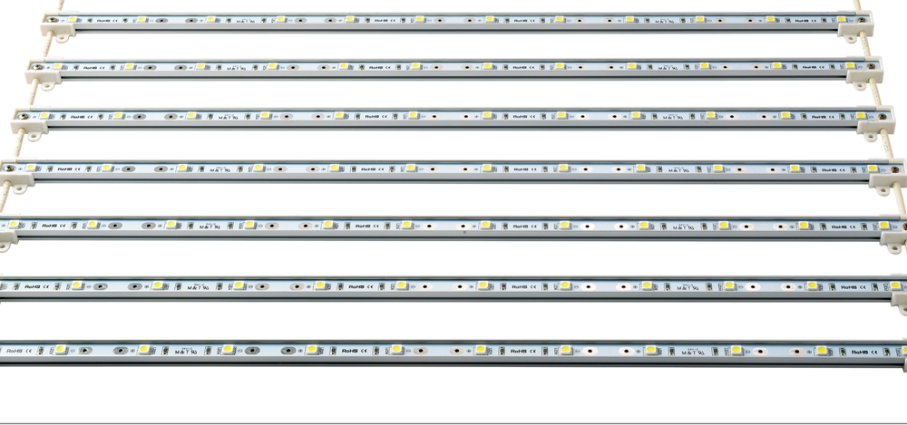 SMD5050 Waterpoof Grid LED 